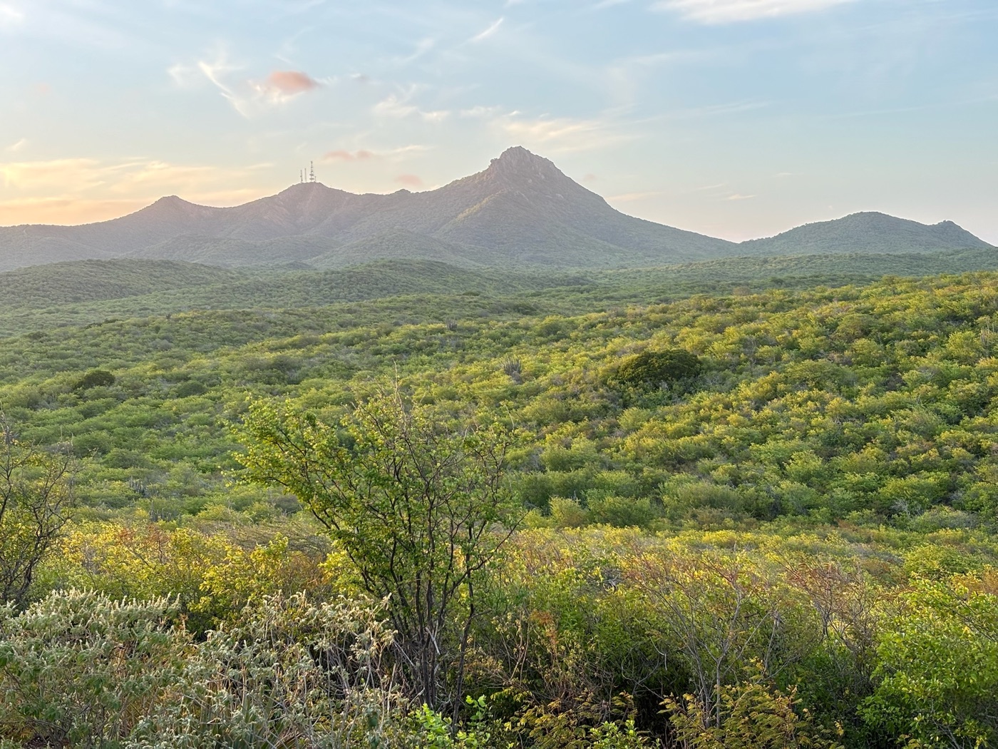 Mount Christoffel